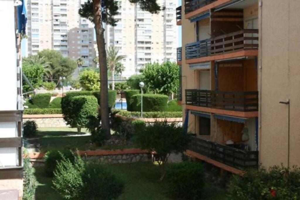 Las Lanzas Studio Apartment Playa Muchavista El Campello Ngoại thất bức ảnh